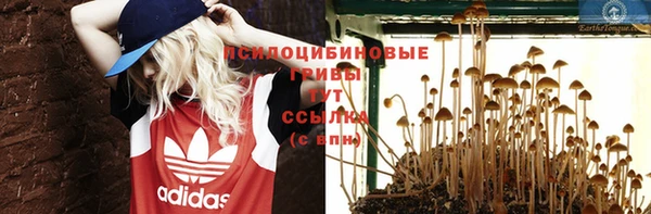 гашишное масло Гвардейск