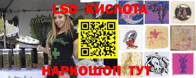 скорость mdpv Гатчина