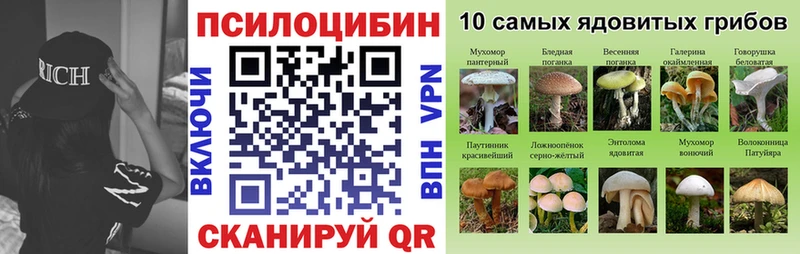 Псилоцибиновые грибы MAGIC MUSHROOMS  Кострома 