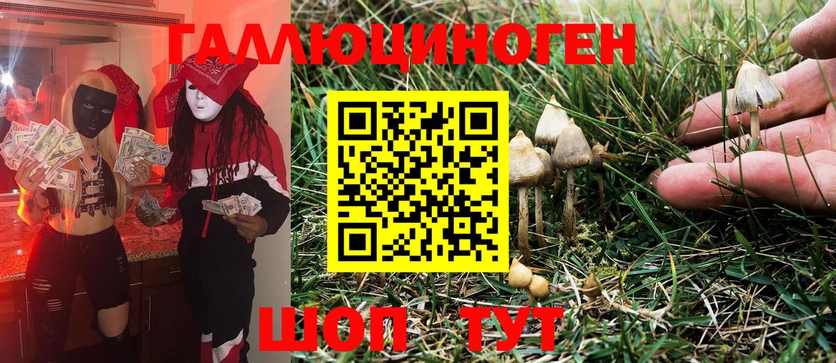 Галлюциногенные грибы Magic Shrooms Кострома