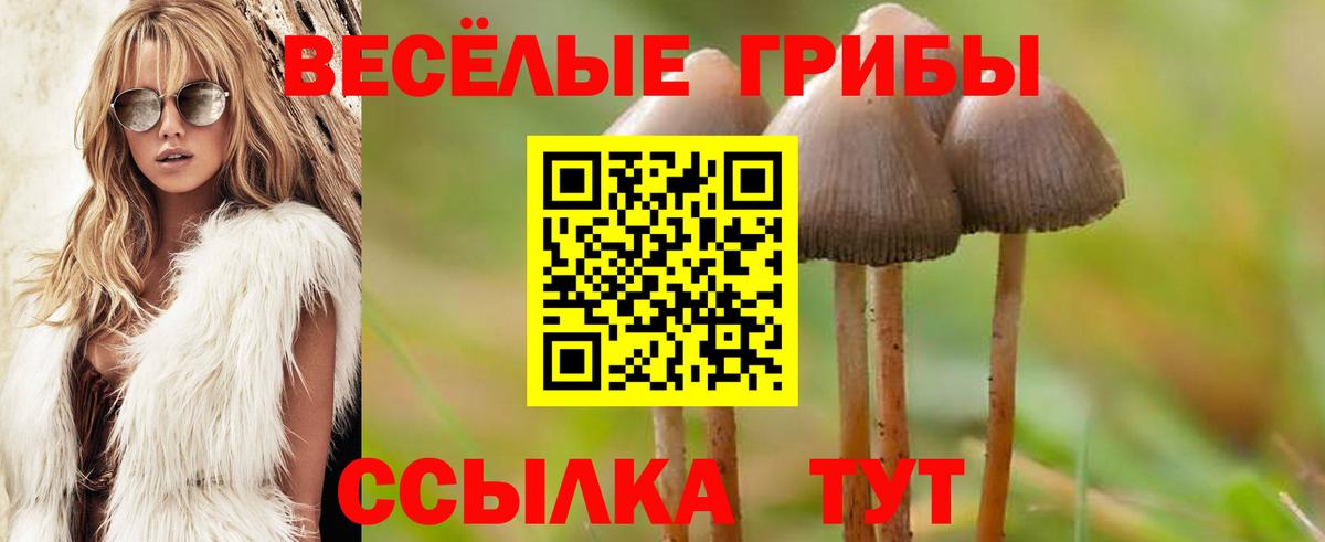 Галлюциногенные грибы Magic Shrooms  Кострома 