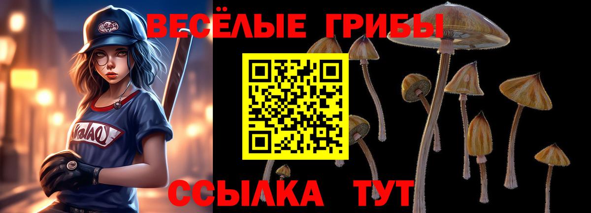 Псилоцибиновые грибы ЛСД Кострома